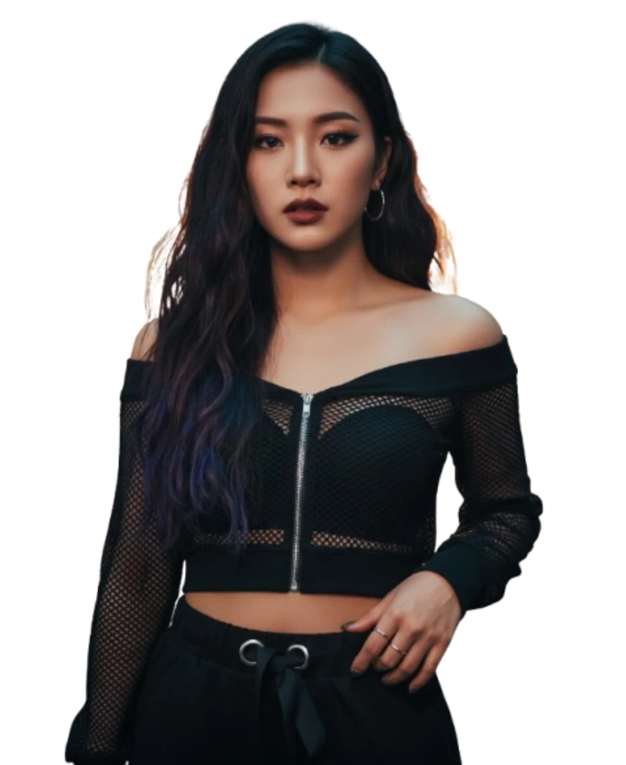 Talitha Fashion Net Crop Zipper Jacket for Women Long Sleeves (Black)