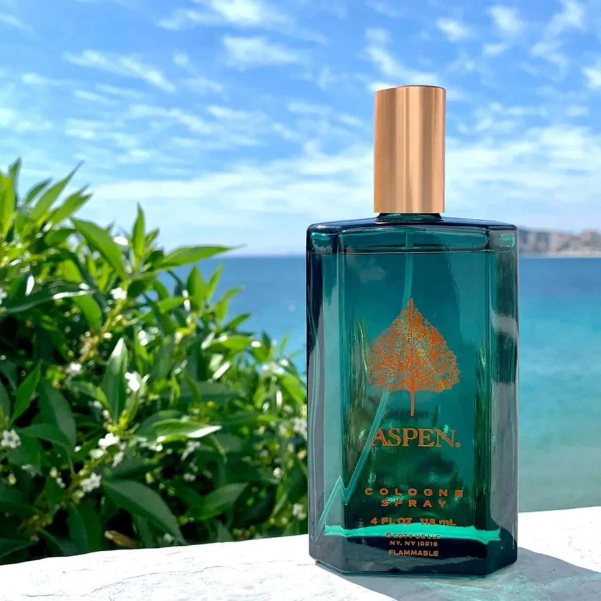 Aspen Coty Pour Homme Eau De Cologne For Men – Fresh & Woody Masculine Frag