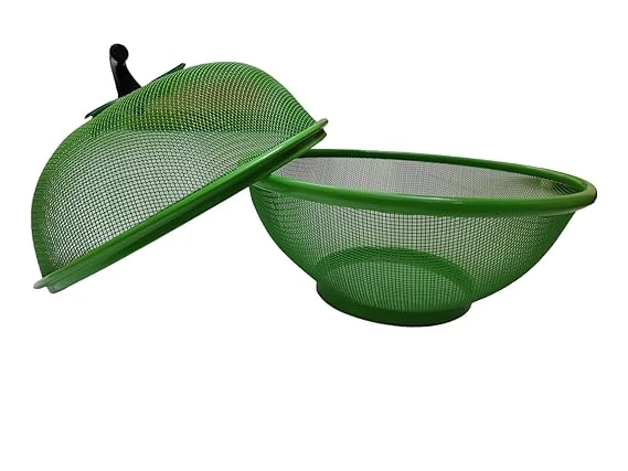 Stainless Steel Fruit & Vegetable Baskets with Lid Perfect for Dining Table Decor Also Veggie tokris net Covers and Steel Food(Small,Green)