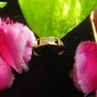Luxury Gold Plated Alloy Ring for Women – Sparkling Zircon Stone, Adjustable Design