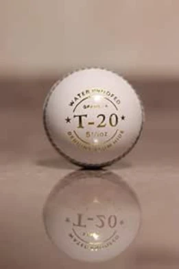 White Leather Cricket Ball, T20 Match Standard