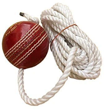 Leather Cricket Shot Practice Hanging Ball, String Cricket Ball and Knocking Cricket Ball with Rope (Multi-Color)