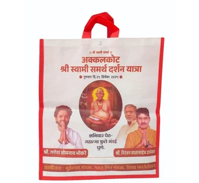 12inch Printed Non Woven Shopping Box Bag Pack of 10