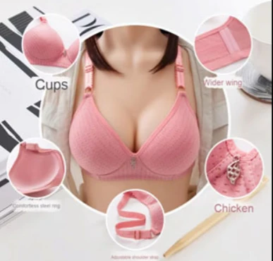 Wirefree Cotton All Day Comfort Padded with Breathable Cup & Detachbale Straps T-Shirt Bra for Women